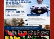 Presiden Prabowo Salurkan 1.098 Ekor Sapi Kurban Jelang Iduladha 1447 H