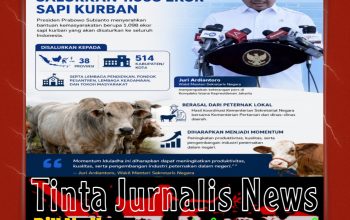 Presiden Prabowo Salurkan 1.098 Ekor Sapi Kurban Jelang Iduladha 1447 H