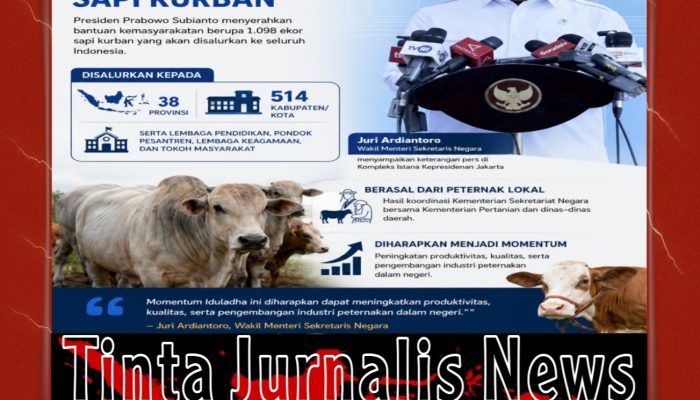 Presiden Prabowo Salurkan 1.098 Ekor Sapi Kurban Jelang Iduladha 1447 H