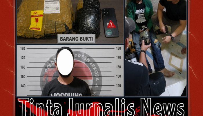 Ditresnarkoba Polda Kepri Gagalkan Peredaran Ganja Jaringan Aceh–Batam, Seorang Tersangka Diamankan