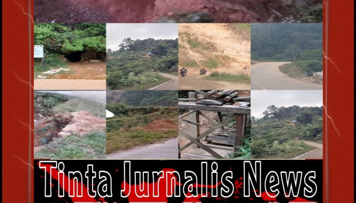 Tambang Emas Ilegal di Citorek Diduga Kian Tak Terkendali, Hutan Lindung Rusak dan Jalan Provinsi Terancam Putus, Warga Minta Negara Hadir