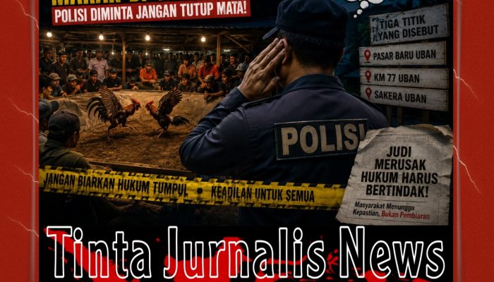 Dugaan Judi Sabung Ayam Muncul di Tiga Titik Uban, Polisi Diminta Turun Jangan Tunggu Viral