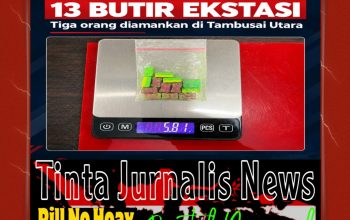 Satresnarkoba Polres Rohul Amankan Tiga Orang, 13 Butir Ekstasi Disita